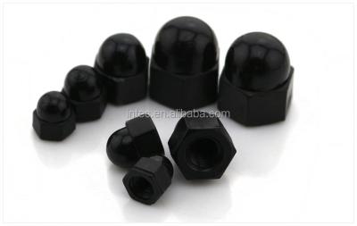 China Black Nylon Dome Nylon Cap Nuts, Plastic Cap Nuts, Hexagon Cap Nuts for sale