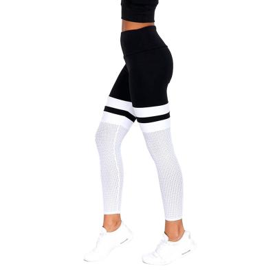 China Breathable Solid Gaiters High Waist Leggings Sports New Gaiters Sports Pants White Mesh Sweatpants Fitness for sale