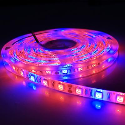 China Promote Plant Growth LED Grow Light Phytolamp Grow LED Strip 12V Phyto Flower Seedling Lamp For Plants Greenhouse To Grow Tent Plant Light for sale