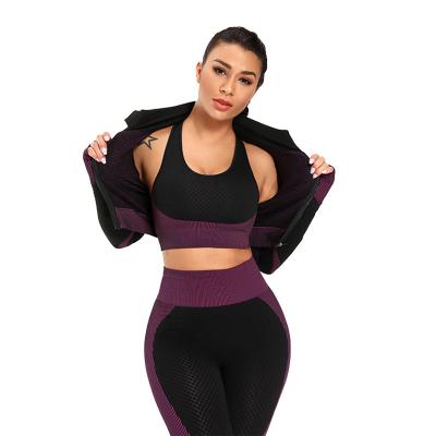 China Breathable 3Pcs Vital Seamless Yoga Set Women Gym Workout Clothes Sports Bra Long Sleeve Gaiters Top Sports Suits Fitness Culture for sale