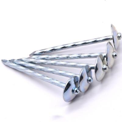 China Umbrella Head Galvanized Umbrella Nails for sale