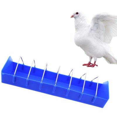 China Farms Poultry Feeders Pigeon Bowl Plastic Food Dispenser Dish Feeding Container For Animal Bird Feeders for sale