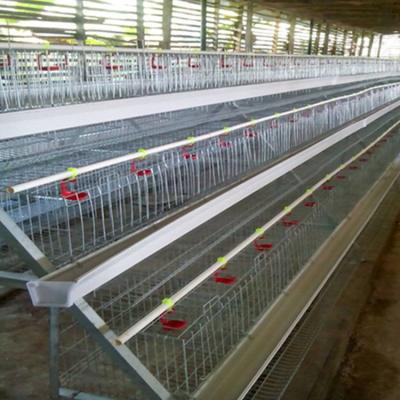 China Best Quality Chicken Cage Layer Broiler Farm Chicken Cage System for sale