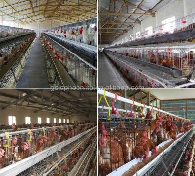 China Chicken Battery Cages For Chicken Farm Cage System Layer Cage for sale