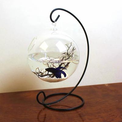 China Creative Viable Hanging Glass Fish Tank Small Transparent Succulent Glass Vase Fish Tank for sale