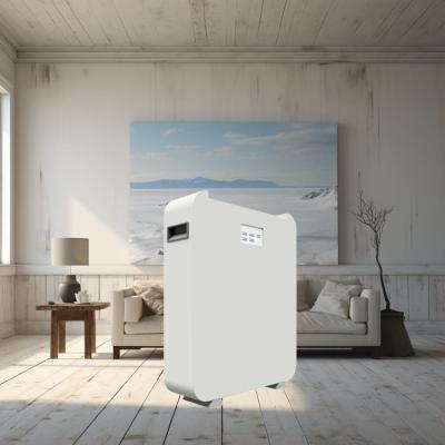 Chine Invertisseur Modulaire batterie de stockage d'énergie solaire LiFePO4 Type de cellule pour la maison à vendre