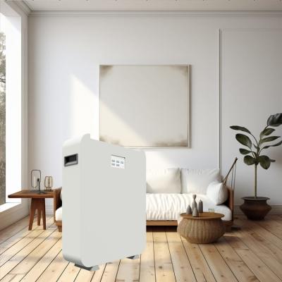 Cina Batteria al litio OEM Lifepo4 Home Battery - Potenziare la tua casa con soluzioni energetiche modulari in vendita