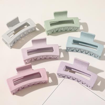 China Fashion Wholesale Frosted Acetate Square Matte Acrylic Hair Claw Clip Hair Accessories Women for sale