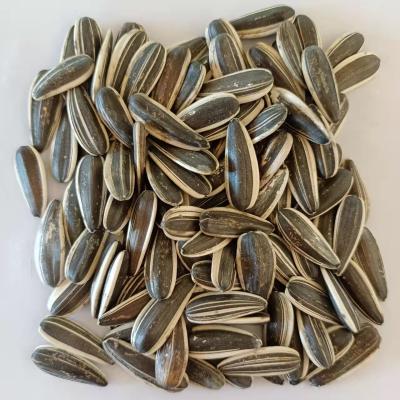 China Inner Mongolia China Dry Natural Cheap White Striped Black Sunflower Seeds 601 for sale