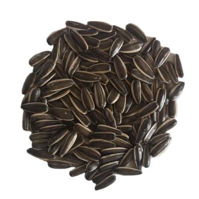 China China dry 2021 new cultivation rich nutrition cheap sunflower seeds 363 on sale for sale