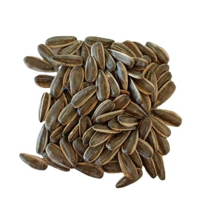 China 2021 Crop 361 Dry Wholesale Sunflower Seeds With Shell Inner Mongolia Factory Chinese for sale