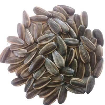 China 2021 Crop 361 Dry Wholesale Sunflower Seeds With Shell Inner Mongolia Factory Chinese for sale