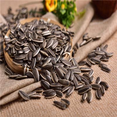 China 2021new common crop stripe bulk sunflower seed 5009 for human consumption for sale