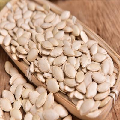 China Dry Pumpkin Seed Goods New Original Roasted Food Pumpkin Seed Pumpkin Seed Price for sale