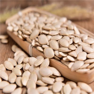 China Dry Shine Skin Pumpkin Seeds In The Shell China Origin In High Quality Organic Pumpkin Seeds for sale