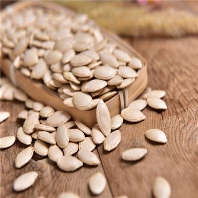 China Chinese Wholesale Pumpkin Seeds High Quality Dried Lady Nail Pumpkin Seeds Factory Price for sale