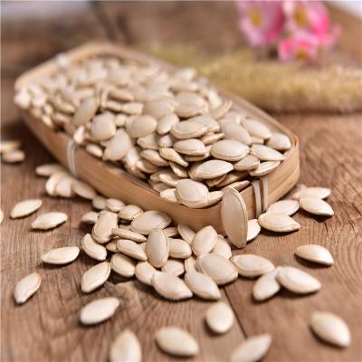 China Dried Grade AA Chinese Organic Pumpkin Seeds Pumpkin Kernel Pumpkin Seeds for sale