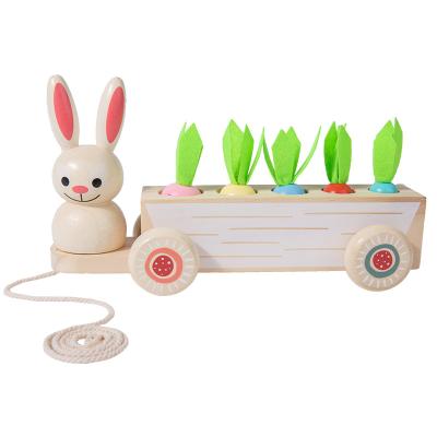 China Wooden Montessori Wooden Toys For 1 Year Old Baby Pull Carrot Shape Matching Size Sorter Puzzle Game Kids Educational Toys For Children for sale