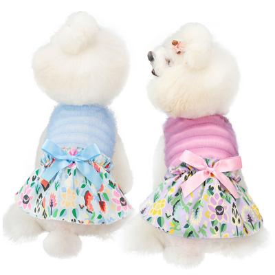 China Stocked New Lace Pet Dresses: Dog Dress with Butterfly Bow, Cat Dress with Printed Teddy Bulldog Motif - Summer Collection for sale