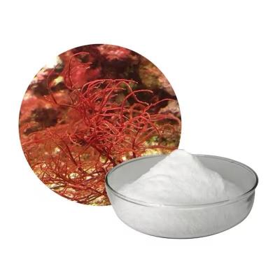 China High Quality Carrageenan Powder Lambda Refined Carrageenan Powder for sale