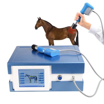 China Extracorporeal Shockwave Horse 47*36*20(cm) Horse Pain Relief Physical Machine Shockwave Rehabilitation Therapy Horse Equipments for sale