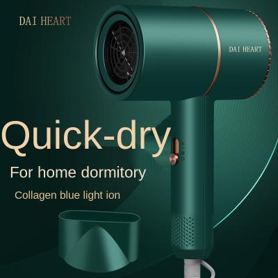 China New Internet Celebrity Hair Dryer Anion Household Hair Dryer High Power Ionic Hair Dryer for sale