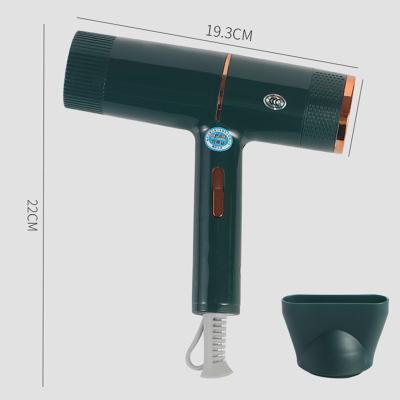 China High Power Ionic Hair Dryer Household Hair Dryer Blue Light Anion Hair Dryer for sale