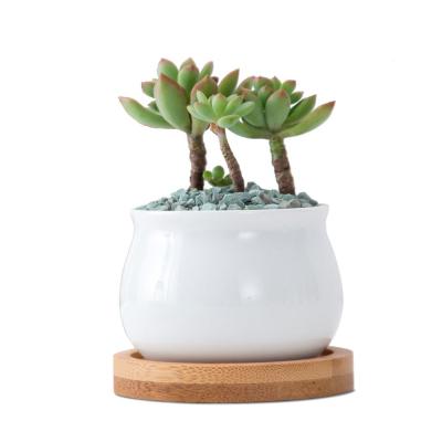 China Wholesale White Mini Modern Plant Arc Type Around Cute Plant Ceramic Pot With Bamboo Tray for sale