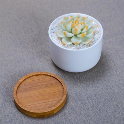 China Modern White Ceramic Custom Plant Pots Flower Pots Succulent Holder With Bamboo Tray for sale