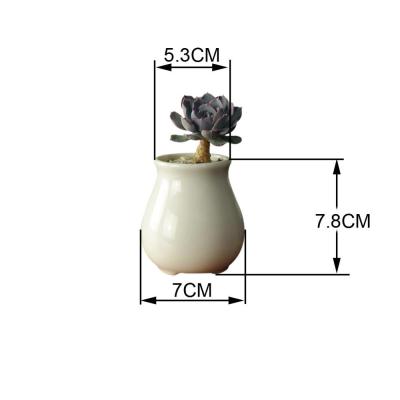 China Modern Wholesale White Ceramic Pot Planters Mini Small Flower Pots Indoor Garden Plant Pots for sale