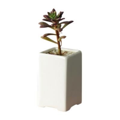 China Mini Modern White Ceramic Flower Pots Indoor Plant Pot Holders With Feet Small Pots For Succulent Plants for sale