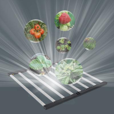 China Seed Starting New Designed Commercial High Quality Farm Grow Bar 8 Dimmable Outdoor Lights Plants Full Spectrum Led Grow Light for sale