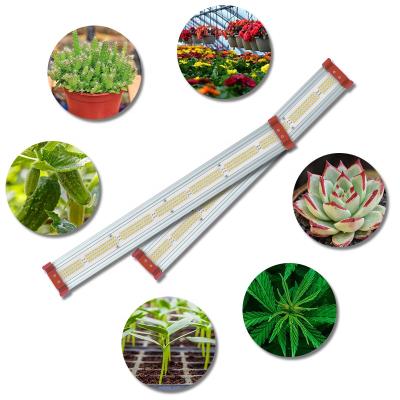 China Seed starting commercial veg flower switch double ended replacement hps cmh for vertical farming grow systems power dimmable LED grow light for sale