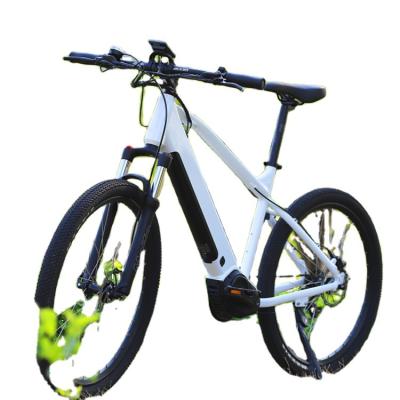 China Hot Sale 26inch Standard Popular Lithium Battery Electric Bicycle Amazon Mountain Bike Urban Road Long Life Electric Bicycles for sale