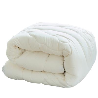 China Hot Sale Anti-allergy OEM Manufacture Duvet Antibacterial Polyester Fiber Quilted Comforter for sale