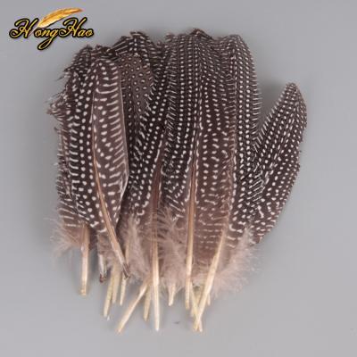 China Bulk Natural Dot Guinea Wing Quills Guinea Fowl Wing Quills Feathers Polka Dot Wholesale 15-20cm Pheasant Feather From Factory for sale