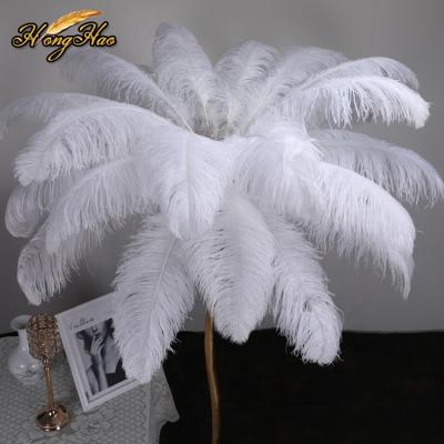 China Wedding performance party decoration wholesale real long big plumas plumas white ostrich feather cheap wedding decoration for sale for sale