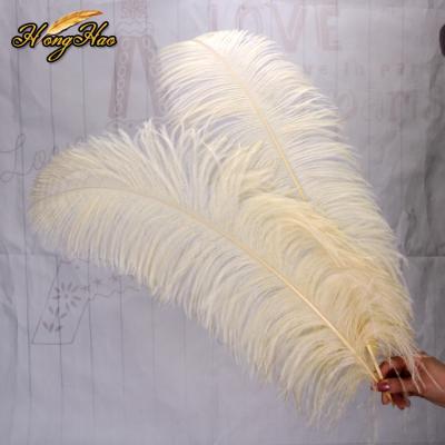 China Colorful Champagne Ostrich Feather Feather Decoration 60-65cm Feather Wedding Hat Large for sale