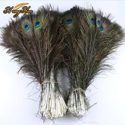 China Colorful 40-50cm Natural Cheap Featival Decoration Headdress Garment Decoration Peacock Feather Craft for sale