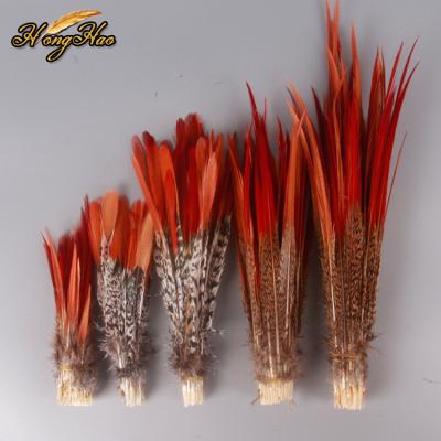 China Cheap Natural Red Pheasant Feather Amherst Feathers 15-30cm Tail Lady Pheasant Gold Feather for sale