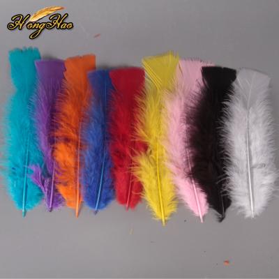 China Turkey feathers wholesale natural decorative colorful marabou turkey feathers 12-18cm plumas for sale for sale