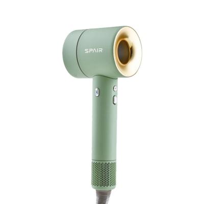 China Bldc 220v Negative Ionic Ion Salon Household Strong Wind Leafless Professional Hair Dryer for sale