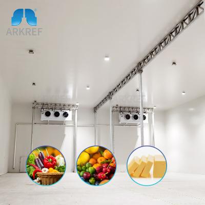 China Food Freezing Commercial Fruits and Vegetables Refrigerator Freezer Cold Room Deep Storage for sale