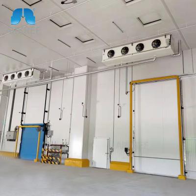 China Food Freezing Competitive Price Blast Freezer Cold Room, Cold Storage for Onion Potato Tomato Quick Freezing for sale