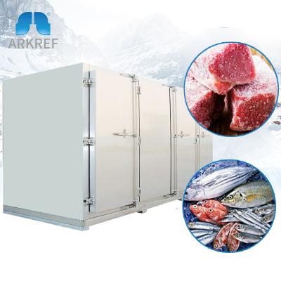 China Cold Frozen Seafood / Fish / Seafood Shrimp Dish Touch Freezer for sale