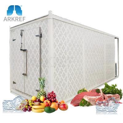 China container blast freezer container, cold storage room container, freezer room container for sale