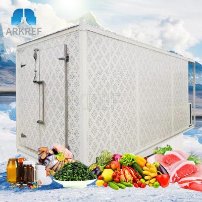 China Vegetable Container 20ft 40ft Mobile Fish Meat Cold Storage Room Container Price for sale