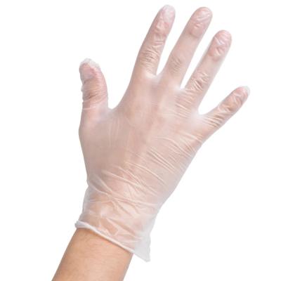 China Lightweight PE Disposable Plastic Gloves For Single Use for sale