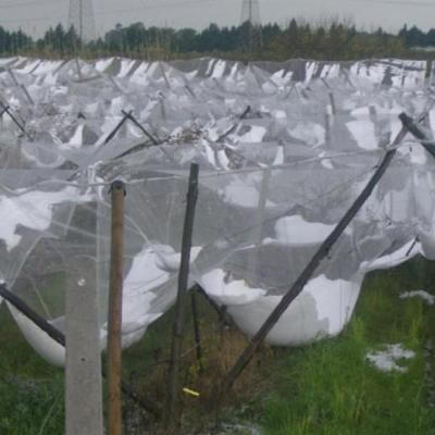 China Durable High Quality Cheap Virgin HDPE Anti Hail Net Price Crop Protection Netting for sale