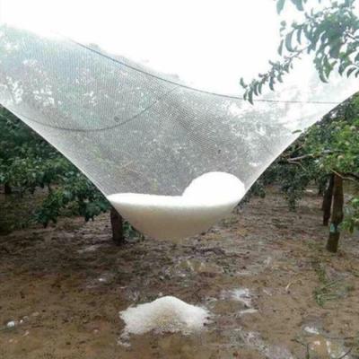 China China Manufacture Durable Professional Virgin HDPE Virgin HDPE Anti Hail Net For Agriculture for sale